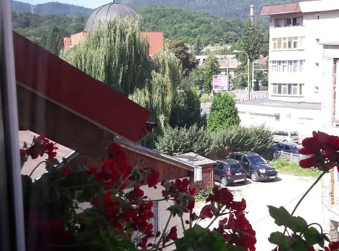 Felicita * 布拉索夫