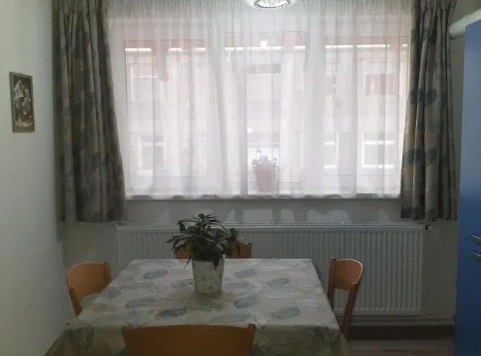 公寓 Felicita 布拉索夫