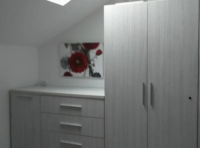 Felicita 公寓 布拉索夫