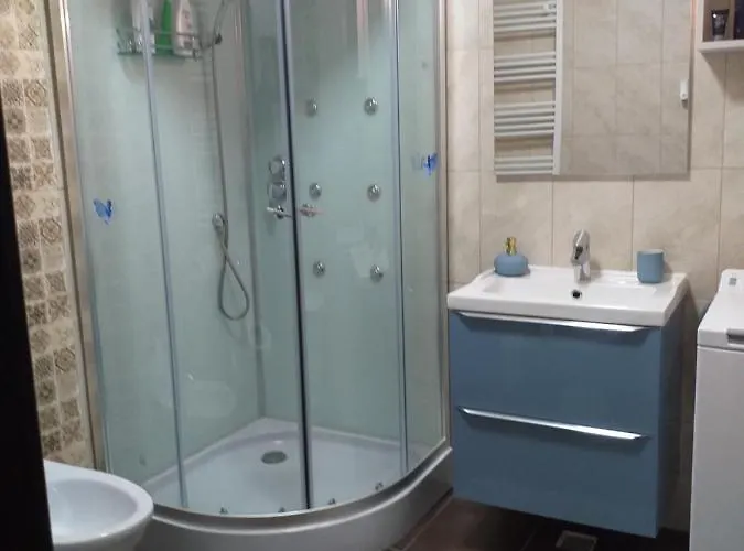 Felicita 公寓 布拉索夫